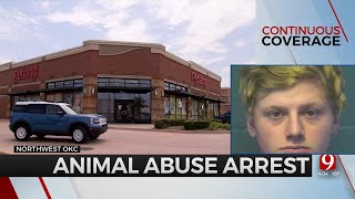 19-Year-Old Arrested, Accused Of Killing Animals At NW OKC Pet Store
