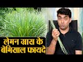 Lemon Grass Benefits and Uses | लेमन ग्रास के बेमिसाल फायदे और इस्तेमाल करने का तरीका | Jeevan Kosh