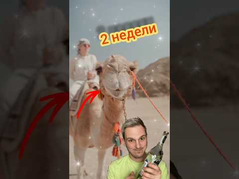 Во сколько лет вы узнали. Что...Часть 6. #shorts #факты
