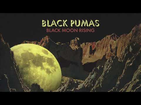 solid black pumas