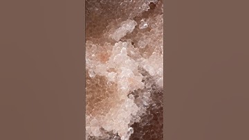 Can you guess what this macro photo is? Day 422