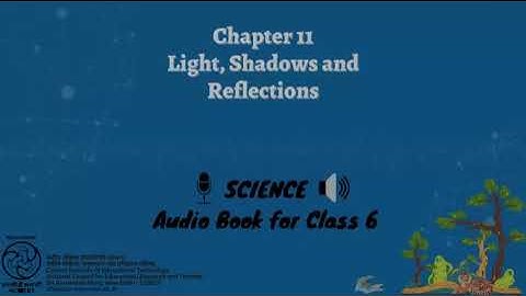 Ch 11  Light, Shadows and Reflections