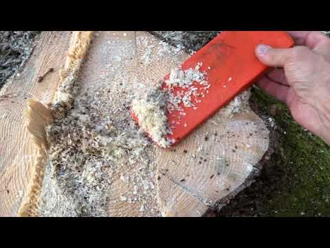 Video: Vad används trädstockar till?