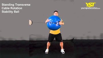 Standing Transverse Cable Rotation Stability Ball