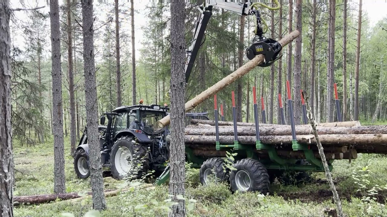 En ny medarbetare anländer