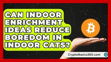 Can Indoor Enrichment Ideas Reduce Boredom in Indoor Cats? | Happy Cat Handbook