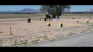 Our first Ranch Obstacle Competition