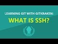 What is SSH? [Beginner Git Tutorial]