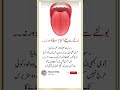 Hadees #islamabad #islam #islamic #islamicvideo