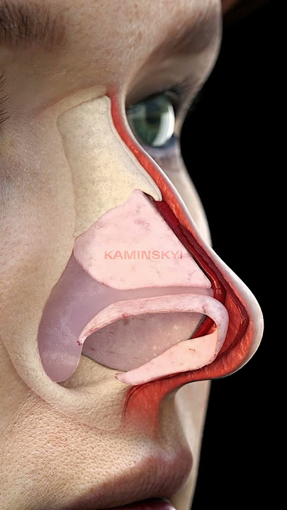 Preservation Rhinoplasty Push Down ⭕️  #kaminskyi