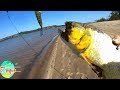 Buena pesca variada en Puerto Yerua, Entre Ríos.