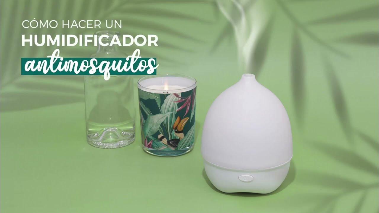 Cómo Hacer un Humidificador Casero? - DIY de Humidificador Casero para la  Tos