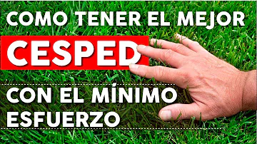 ¿Es más sano un césped más largo?