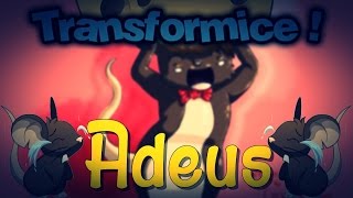 Transformice  - Muellpro ADEUS