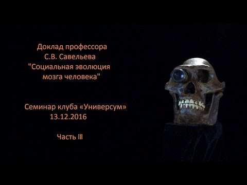 С.В. Савельев с докладом "Социальная эволюция мозга" часть III