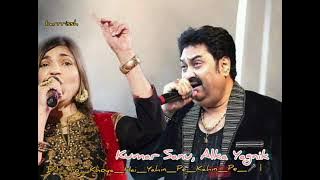 Dil To Khoya Hai Yahin Pe Kahin Pe Tu Jara Bata| Kumar Sanu & Alka Yagnik |❤HITS❤|Youtube barrrissh🙇