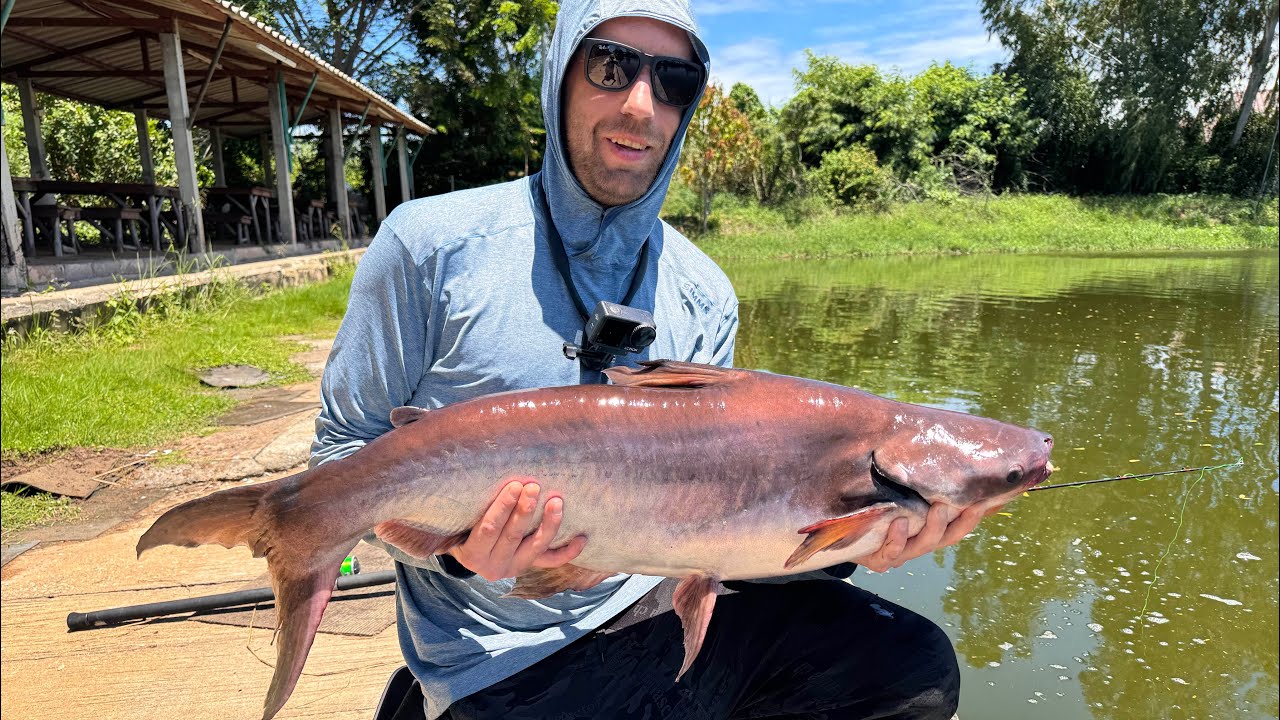 Thailandas #3 Pangasiju zukle mieste