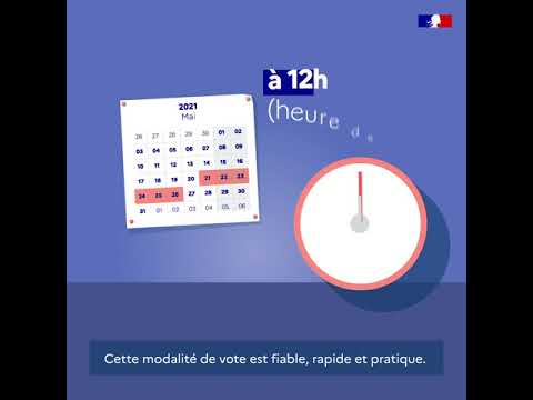 Elections consulaires   promotion Vote par internet   version carré