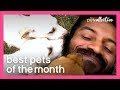 Best Pets of the Month (May 2020) | The Pet Collective