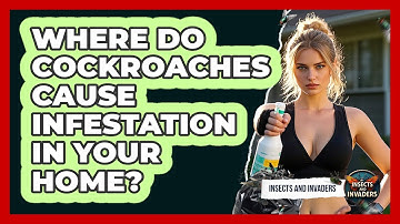 Where Do Cockroaches Cause Infestation In Your Home? - Insects and Invaders
