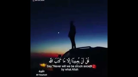 #تلاوات #ماهر_المعيقلي #ياسر_الدوسري #ناصر_القطامي #السديس #خالد_الغامدي(27)