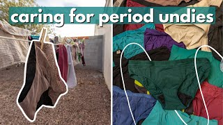 How To Wash Period Caring For Period Underwear Wash, Dry, Deep Clean, And Storage