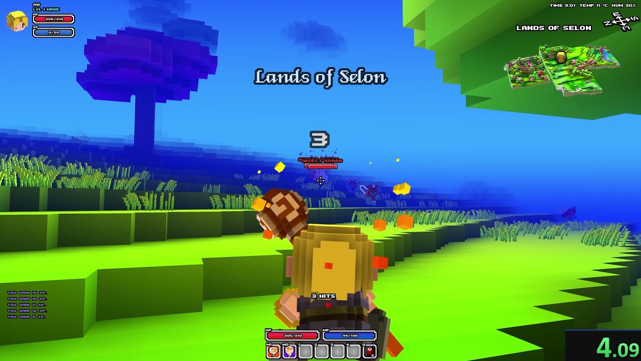cube world level up