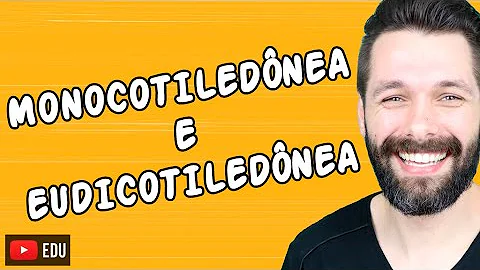 Como são divididas as angiospermas de acordo com o número de cotilédones de duas características que diferenciam cada grupo?