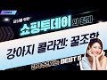 강아지 콜라겐 영양제부터 간식까지! 피부, 관절 건강 책임지는 꿀조합 추천