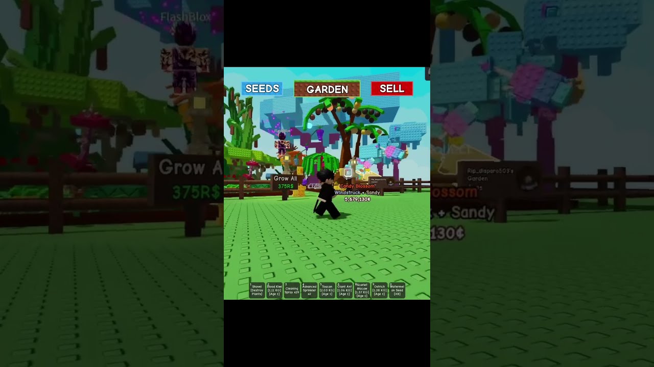 The Luckiest Player Of Grow A Garden Roblox Growagarden Shorts Fyp Viralvideo