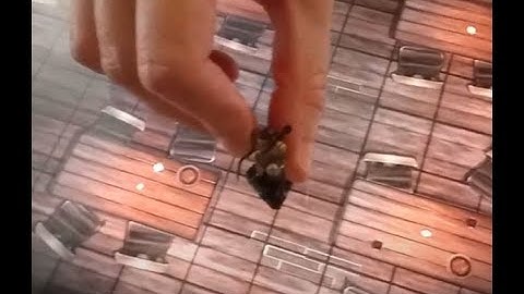 Physical mini detection - Early WIP