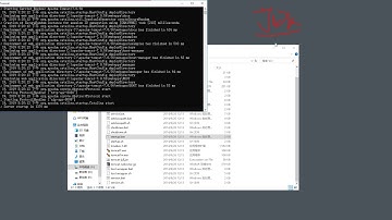 11 tomcat的安装使用