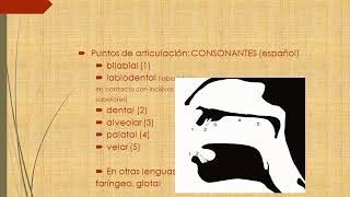 el sistema fonologico del castellano