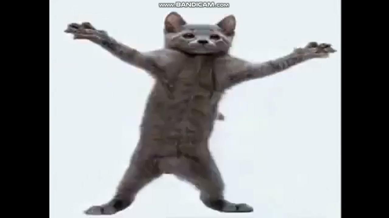 очень грустное видео. - YouTube