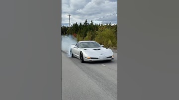700WHP Supercharged C5 Z06 Corvette 💨 #corevtte #supercharged #burnout