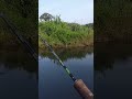sejak akhir2 nih asyik terlepas jer casting ikan bulan #shorts