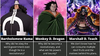 Most Mysterious One Piece Characters