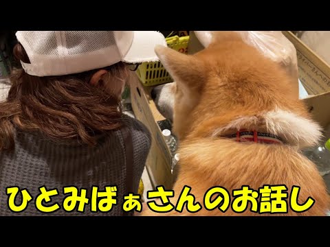 秋田犬そらとひとみばぁさんのお話し
