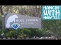 Hangin&#39; with Manatees at Blue Spring State Park (Florida) | VLOG 3