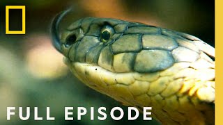 Snakes on a Plane (Full Episode) | Locked Up Abroad
