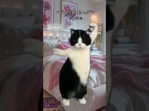 سن سنا نن Duetwithm Duetwithm الترند الهندي 