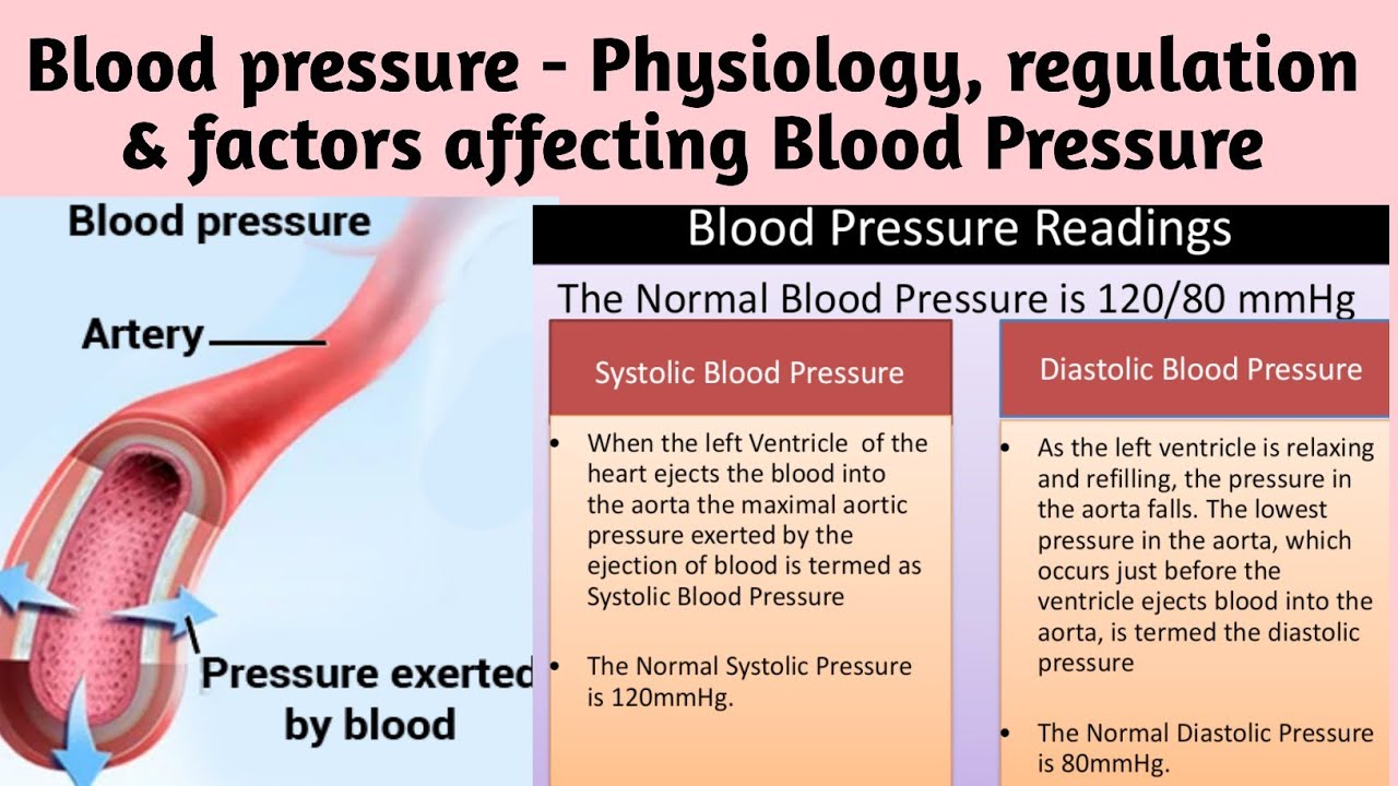 NSG FON 19 (A) Blood Pressure- Physiology, Regulation & Factors affecting BP/ INC syllabus - YouTube