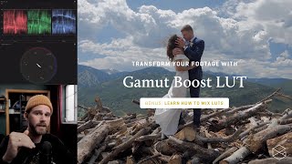 How to Mix LUTs with Gamut Boost – Increase Vibrancy and Retain Highlights