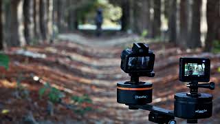 DJI AIR2 + ACTION + PANOCAT電動雲台 落羽松拍攝剪輯 盛魚稼植工作室 PANOCAT