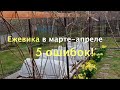 ЕЖЕВИКА в марте - апреле /5 ОШИБОК!