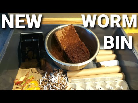 New And Bigger Worm Composting Bin For Red Wigglers | Setting Up A New Worm Bin | Vermicomposting