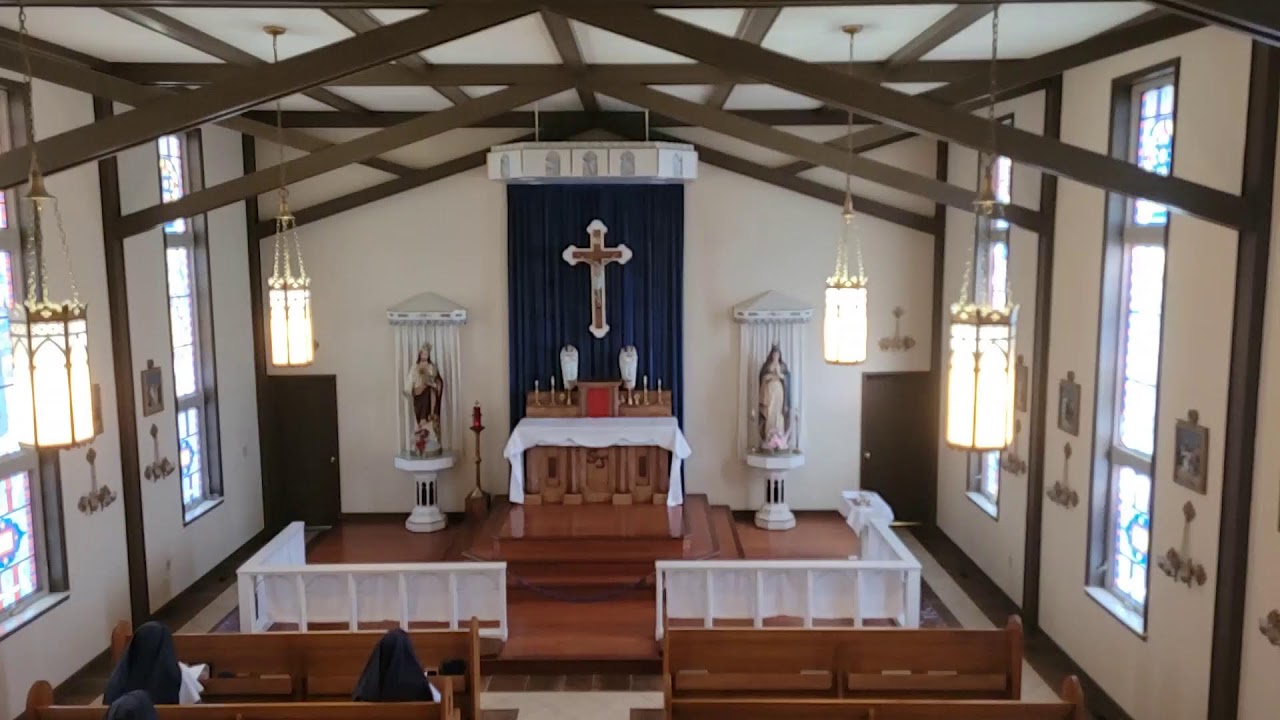 Rosary, June 11, 2024