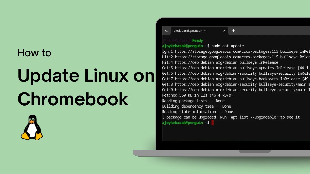 How to Update Linux on Chromebook - YouTube