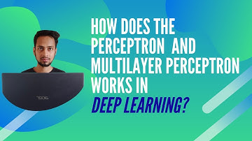 How Does The  Perceptron  And MultiLayer Perceptron Works In Deep Learning | Clearly Explained
