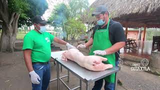 Granja las Margaritas | Cerdo al Ataúd | Conoce Cotaxtla | Cotaxtla Agropecuario